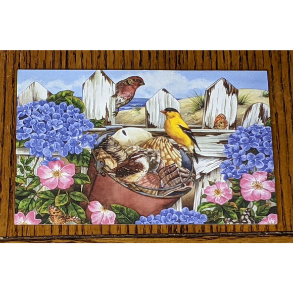 Blank Notes Notecards Set 12 Birds Flowers Fruit Seasons Jane Maday 6 x 4" READ - Picture 7 of 10